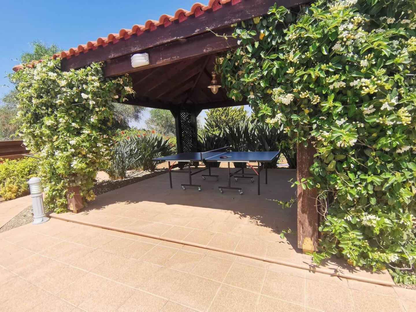 Orchard Blossom Private Villa With Pool Phrenaros Exterior photo
